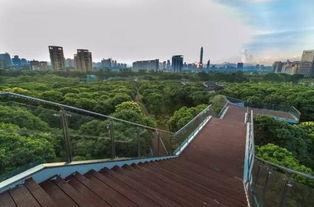 深圳海石公园最新爆料,全新景观惊艳亮相! 第3张 深圳海石公园最新爆料,全新景观惊艳亮相! 第3张