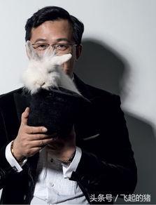 卓伟最新爆料2018,揭秘娱乐圈惊人内幕 第2张 卓伟最新爆料2018,揭秘娱乐圈惊人内幕 第2张