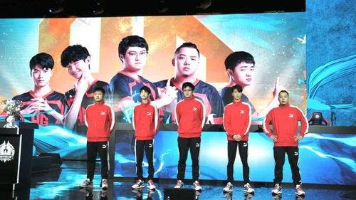 ag最新爆料首发,首发生态系统揭秘