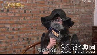 赵四视频爆料,娱乐圈幕后真相大曝光  第3张