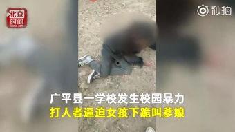 校园欺凌事件新闻爆料,揭开校园欺凌的黑暗面 第3张 校园欺凌事件新闻爆料,揭开校园欺凌的黑暗面 第3张