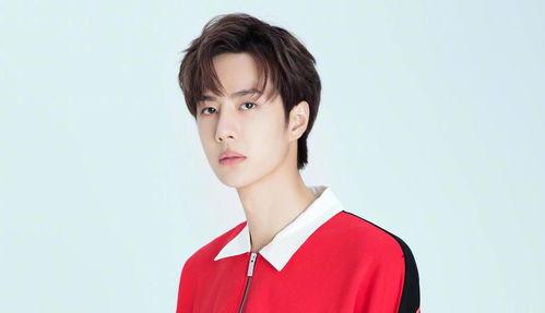 娱乐大爆料壁纸高清版,揭秘明星幕后生活瞬间