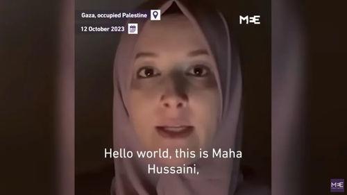 英媒爆料后续剧情介绍视频