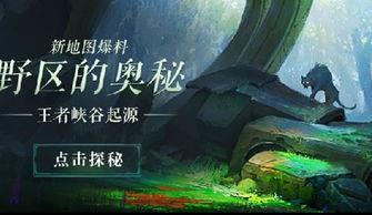 爆料王者峡谷视频大全最新,揭秘最新爆料视频大全  第2张
