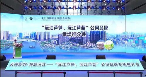 沅江新闻爆料网站大全,一网打尽本地资讯，畅享信息盛宴