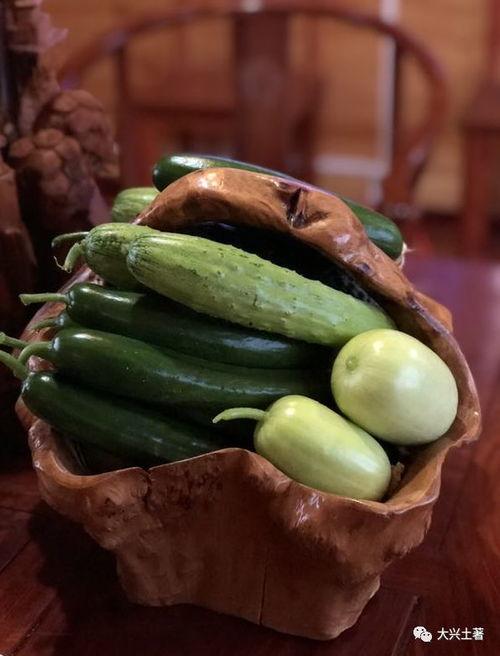 地方网红吃瓜,一网打尽那些年我们错过的瓜  第3张