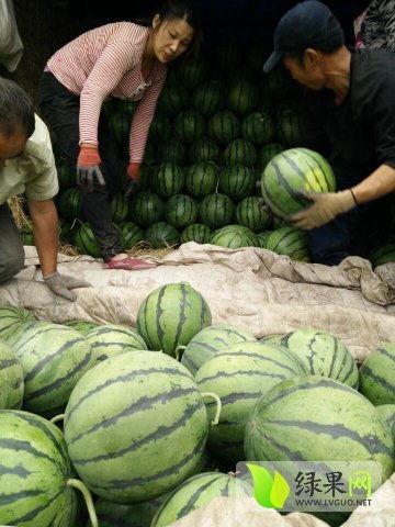 山东吃瓜爆料事件真相视频,揭秘真相背后的曲折历程 第3张 山东吃瓜爆料事件真相视频,揭秘真相背后的曲折历程 第3张