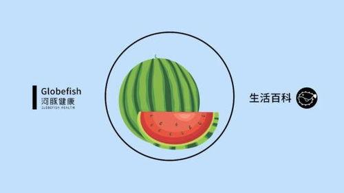 适合娱乐吃瓜的bgm,跟随节奏，畅享娱乐盛宴！